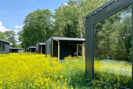 Ясно-Красно — фото