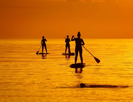 Polyana  — фото