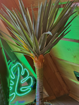 А-фрейм 4 "Неон" — фото 12