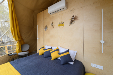 Holidays Forest — фото