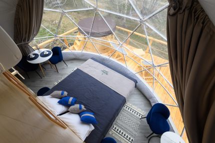 Holidays Forest — фото