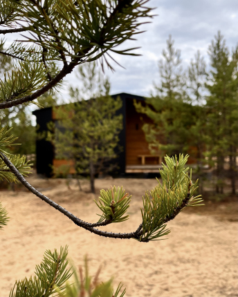 «Тотем» — фото