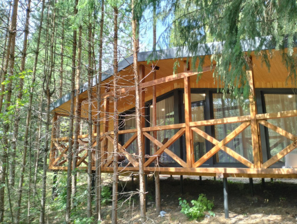 Илеть — фото