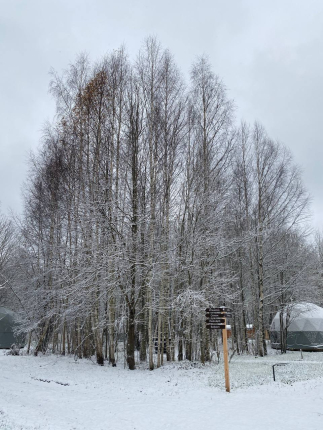 Озеро Ле — фото