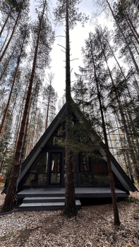 Большой дом А-frame — фото 1