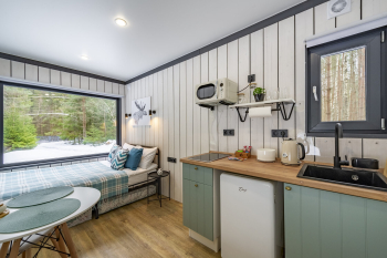 Сосна — фото 10