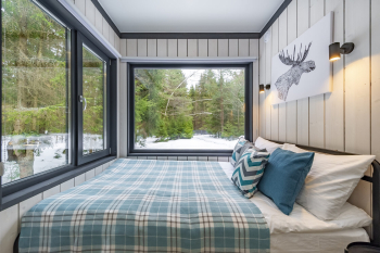 Сосна — фото 9