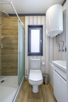 Ольха — фото 11