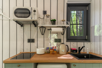 Рябина — фото 11