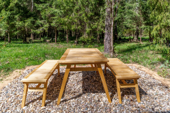 Рябина — фото 16