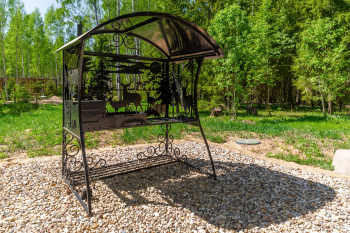 Рябина — фото 15