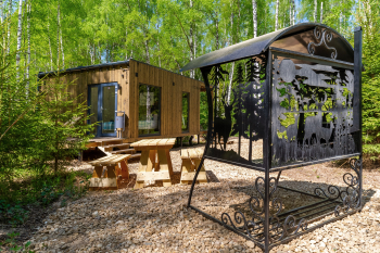 Осина — фото 2