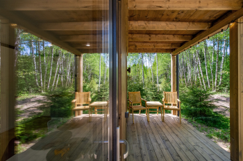 Осина — фото 15