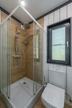 Сосна — фото 14