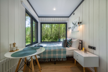 Клен — фото 8