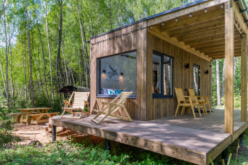 Клен — фото 1