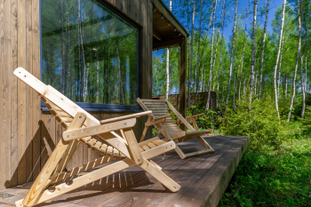 Клен — фото 3