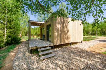 Береза — фото 1