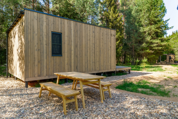 Ель — фото 10