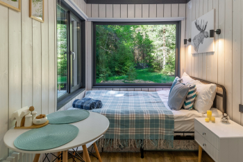 Сосна — фото 8