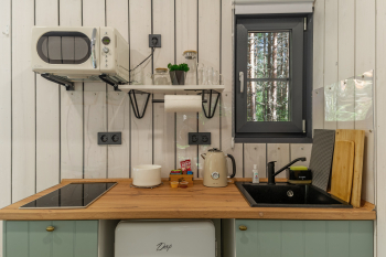 Сосна — фото 11