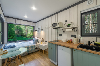 Сосна — фото 12