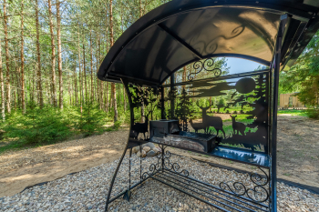 Сосна — фото 16