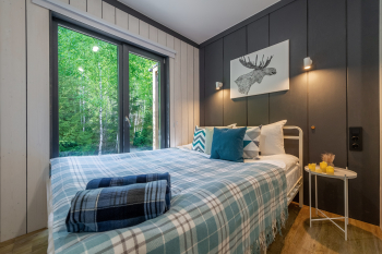 Береза — фото 13