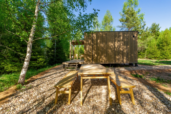 Береза — фото 17