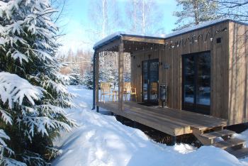 Береза — фото 7