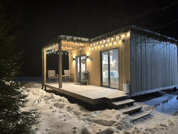 Береза — фото 5