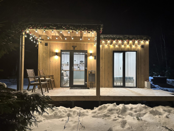 Береза — фото 15