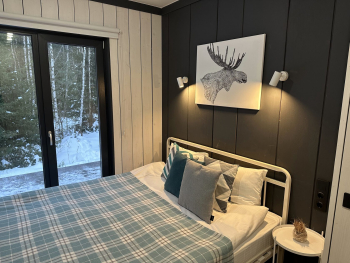 Береза — фото 14