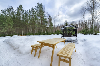 Ель — фото 12