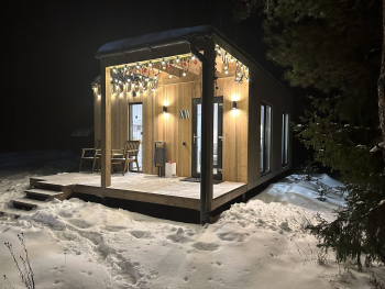 Ель — фото 14