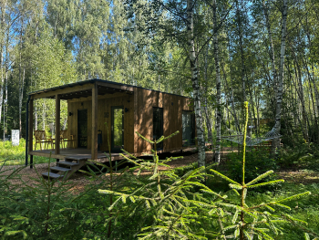 Ива — фото 1