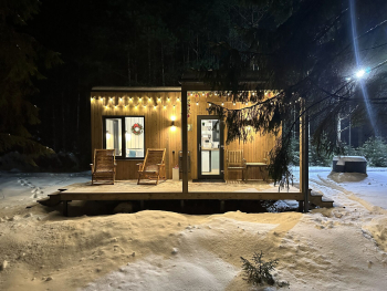 Сосна — фото 6