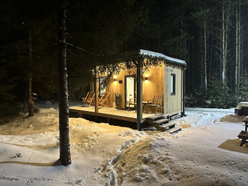 Сосна — фото 5