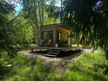 Рябина — фото 1