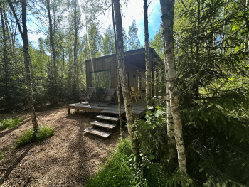 Ольха — фото 1