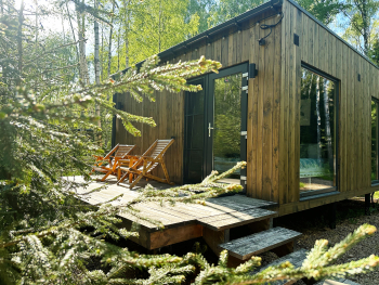 Осина — фото 1