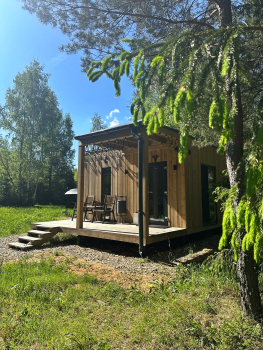 Ель — фото 1