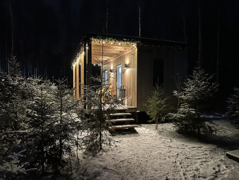 Клен — фото 5