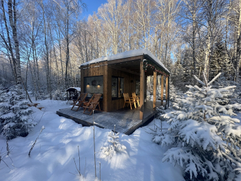 Клен — фото 7