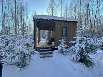 Клен — фото 2