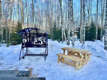 Малина — фото 16