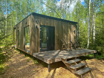 Малина — фото 4