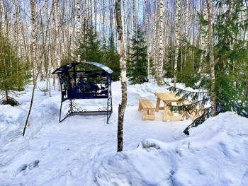 Ольха — фото 12