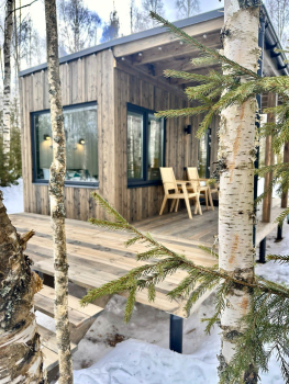 Ольха — фото 6