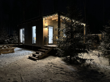 Осина — фото 17